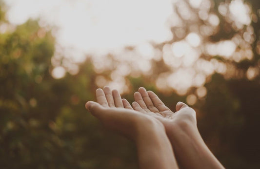 Fermentierte Wirkstoffe – maximale Wirkung, pure Natur